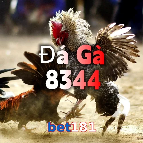 bet181